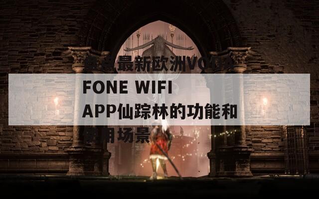 盘点最新欧洲VODAFONE WIFI APP仙踪林的功能和使用场景
