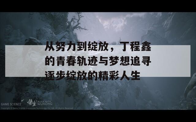 从努力到绽放，丁程鑫的青春轨迹与梦想追寻逐步绽放的精彩人生