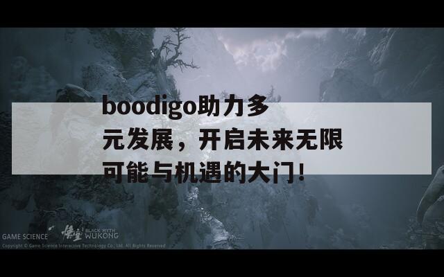 boodigo助力多元发展，开启未来无限可能与机遇的大门！