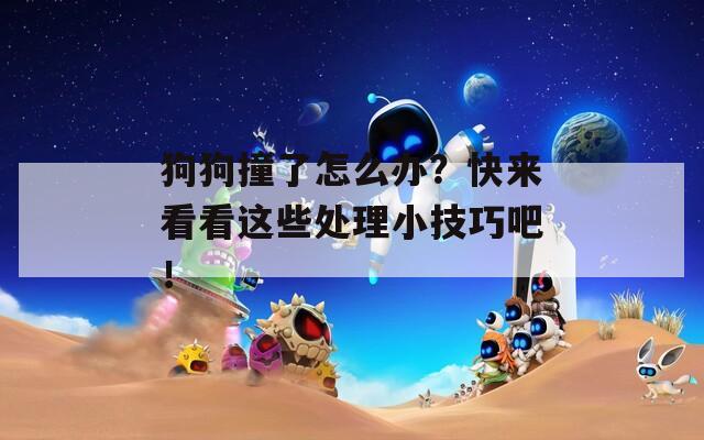 狗狗撞了怎么办？快来看看这些处理小技巧吧！