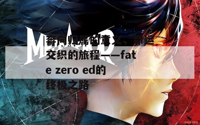 奔向归属的意义，命运交织的旅程——fate zero ed的终极之路