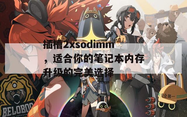 插槽2xsodimm，适合你的笔记本内存升级的完美选择