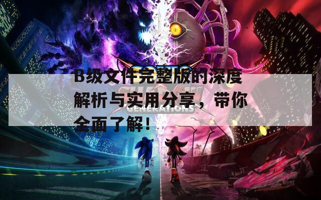 B级文件完整版的深度解析与实用分享，带你全面了解！