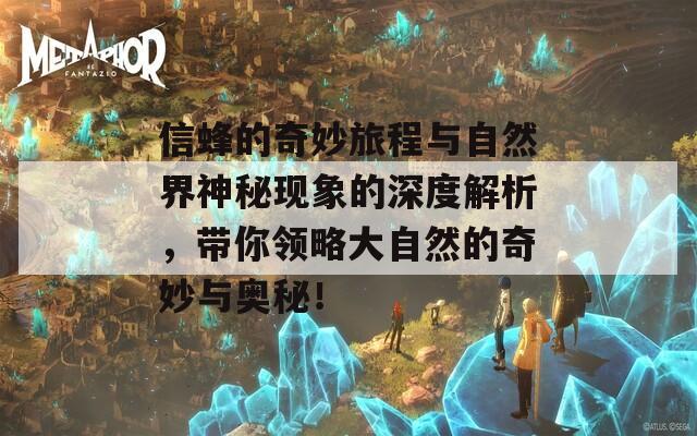 信蜂的奇妙旅程与自然界神秘现象的深度解析，带你领略大自然的奇妙与奥秘！