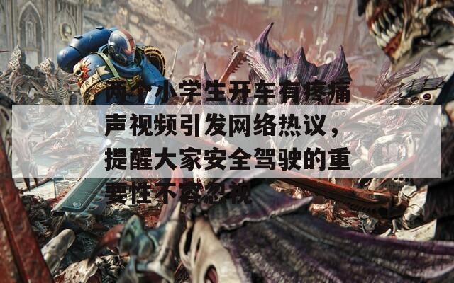 两个小学生开车有疼痛声视频引发网络热议，提醒大家安全驾驶的重要性不容忽视
