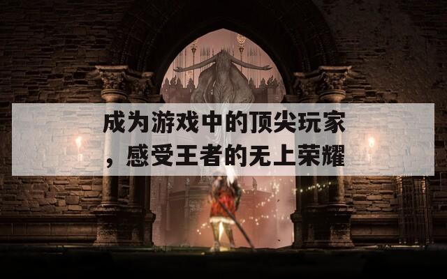 成为游戏中的顶尖玩家，感受王者的无上荣耀