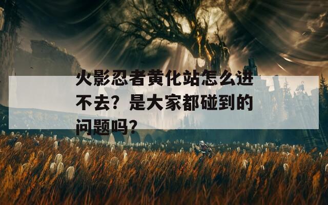 火影忍者黄化站怎么进不去？是大家都碰到的问题吗？