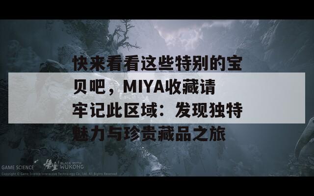 快来看看这些特别的宝贝吧，MIYA收藏请牢记此区域：发现独特魅力与珍贵藏品之旅