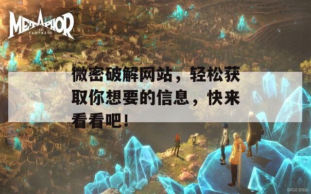 微密破解网站，轻松获取你想要的信息，快来看看吧！
