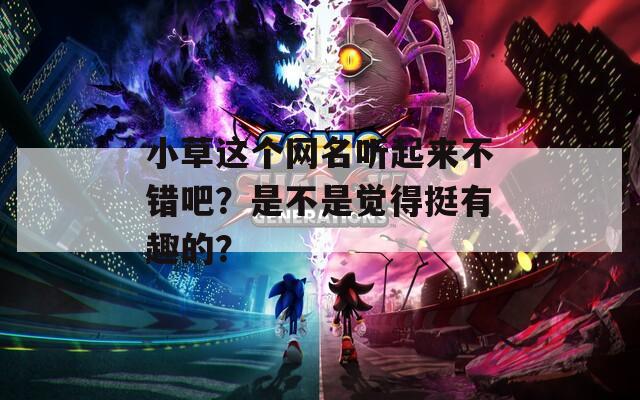 小草这个网名听起来不错吧？是不是觉得挺有趣的？