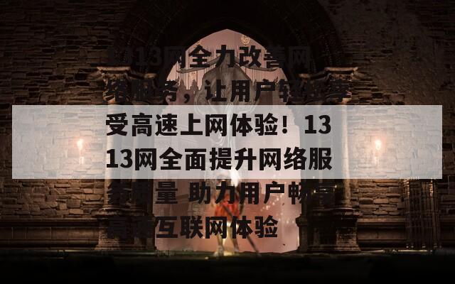 1313网全力改善网络服务，让用户轻松享受高速上网体验！1313网全面提升网络服务质量 助力用户畅享高速互联网体验
