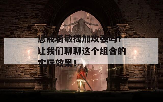 惩戒骑敏捷加攻强吗？让我们聊聊这个组合的实际效果！