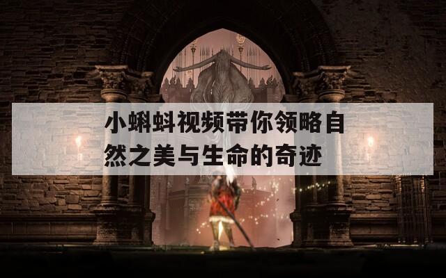 小蝌蚪视频带你领略自然之美与生命的奇迹