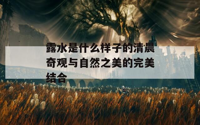 露水是什么样子的清晨奇观与自然之美的完美结合