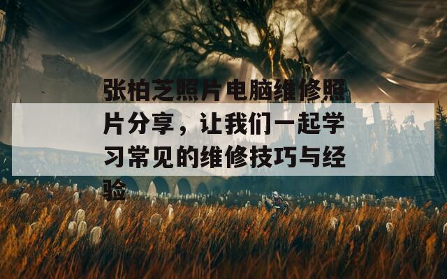 张柏芝照片电脑维修照片分享，让我们一起学习常见的维修技巧与经验