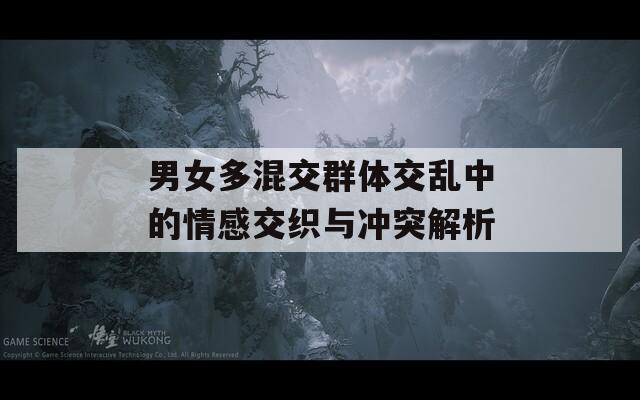 男女多混交群体交乱中的情感交织与冲突解析