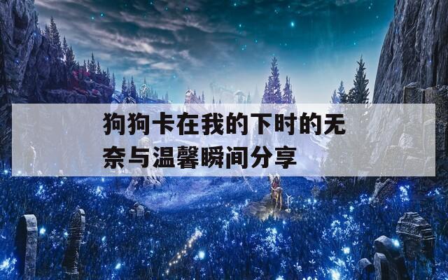 狗狗卡在我的下时的无奈与温馨瞬间分享