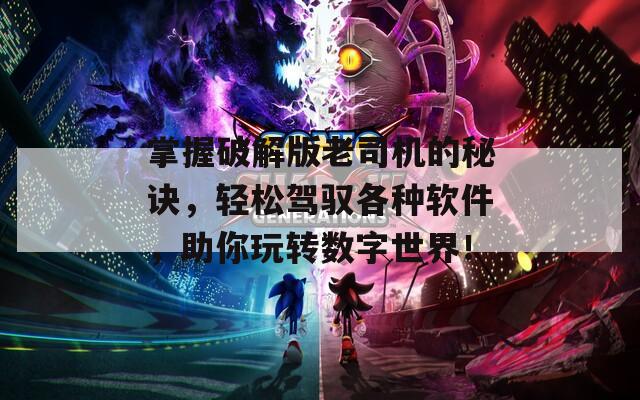 掌握破解版老司机的秘诀，轻松驾驭各种软件，助你玩转数字世界！