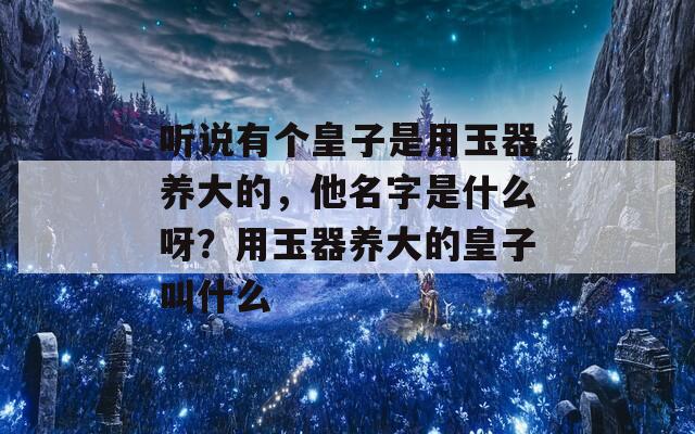 听说有个皇子是用玉器养大的，他名字是什么呀？用玉器养大的皇子叫什么