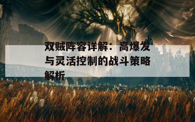 双贼阵容详解：高爆发与灵活控制的战斗策略解析