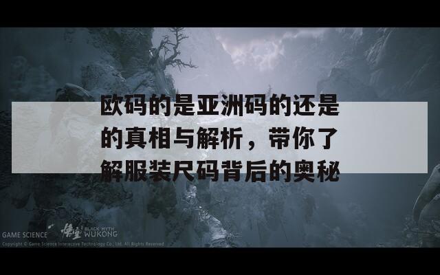 欧码的是亚洲码的还是的真相与解析，带你了解服装尺码背后的奥秘
