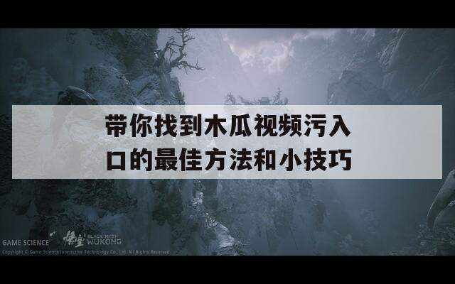 带你找到木瓜视频污入口的最佳方法和小技巧