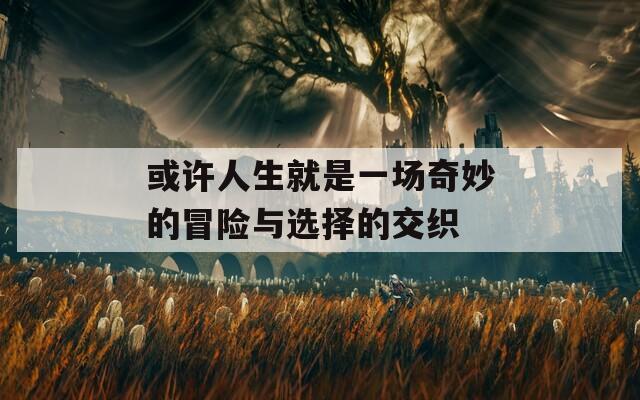 或许人生就是一场奇妙的冒险与选择的交织