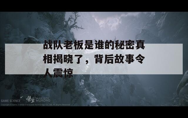 战队老板是谁的秘密真相揭晓了，背后故事令人震惊