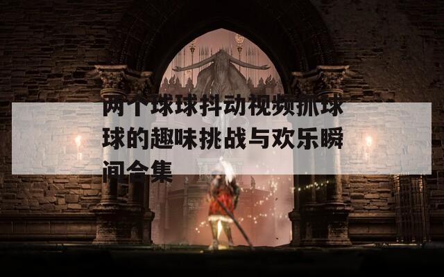 两个球球抖动视频抓球球的趣味挑战与欢乐瞬间合集