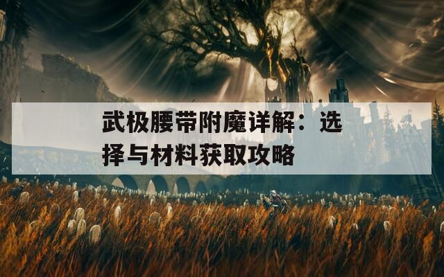 武极腰带附魔详解：选择与材料获取攻略