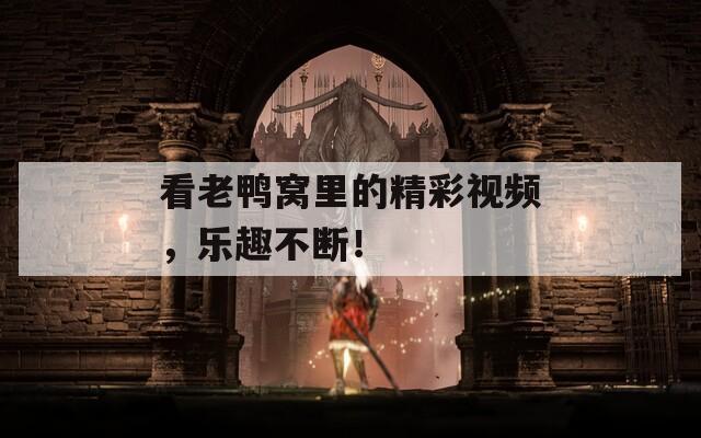 看老鸭窝里的精彩视频，乐趣不断！