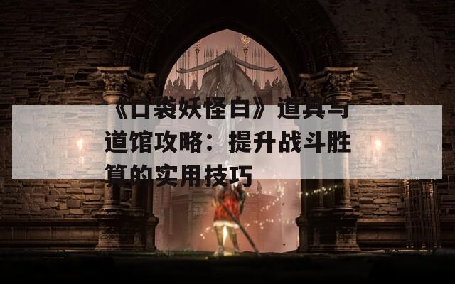 《口袋妖怪白》道具与道馆攻略：提升战斗胜算的实用技巧