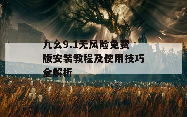 九幺9.1无风险免费版安装教程及使用技巧全解析