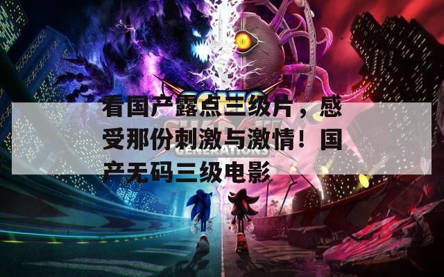 看国产露点三级片，感受那份刺激与激情！国产无码三级电影