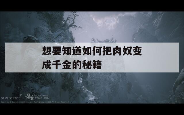 想要知道如何把肉奴变成千金的秘籍
