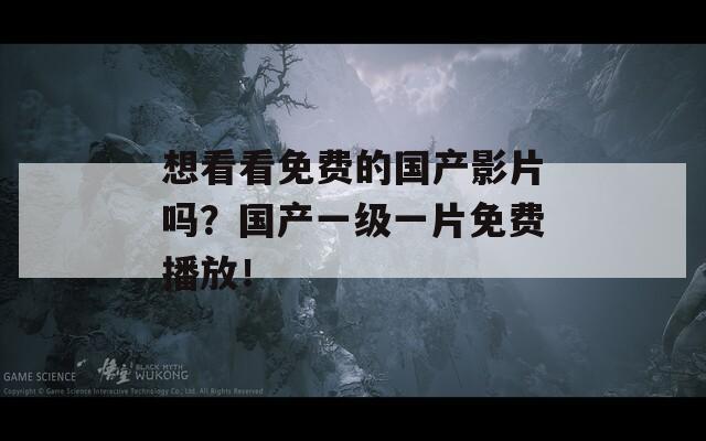 想看看免费的国产影片吗？国产一级一片免费播放！