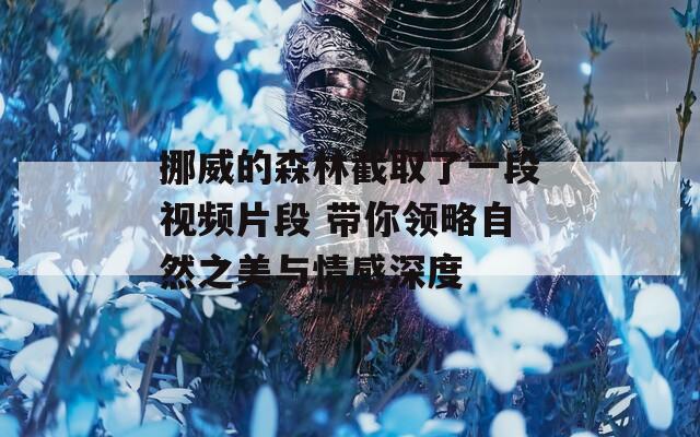 挪威的森林截取了一段视频片段 带你领略自然之美与情感深度