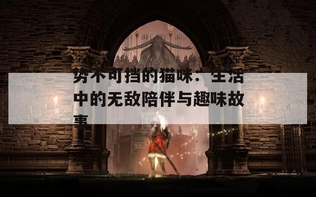 势不可挡的猫咪：生活中的无敌陪伴与趣味故事