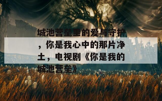 城池营垒里的爱与守护，你是我心中的那片净土，电视剧《你是我的城池营垒》