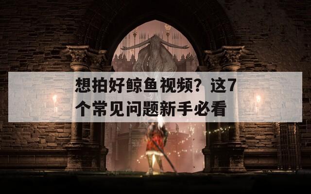 想拍好鲸鱼视频？这7个常见问题新手必看