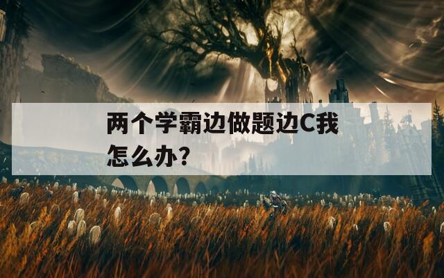 两个学霸边做题边C我怎么办？