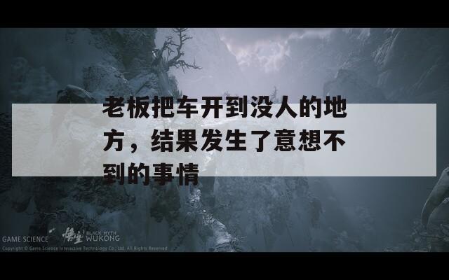 老板把车开到没人的地方，结果发生了意想不到的事情