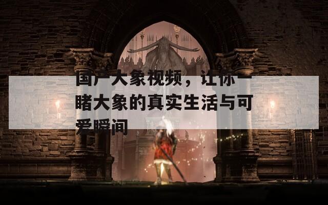 国产大象视频，让你一睹大象的真实生活与可爱瞬间