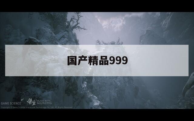 国产精品999