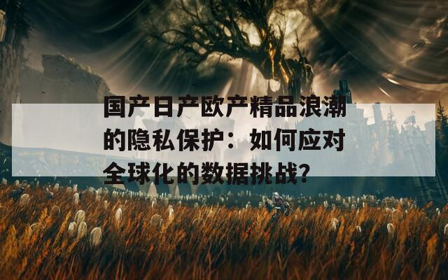 国产日产欧产精品浪潮的隐私保护：如何应对全球化的数据挑战？