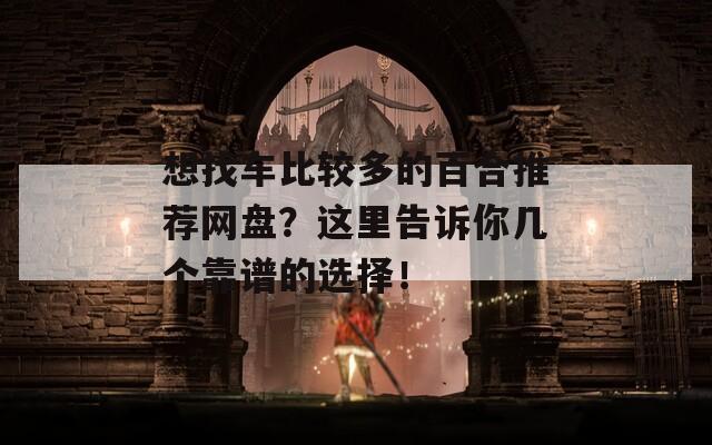 想找车比较多的百合推荐网盘？这里告诉你几个靠谱的选择！
