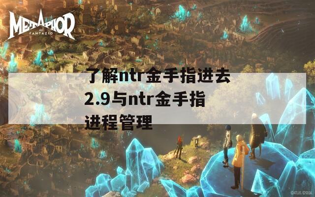 了解ntr金手指进去2.9与ntr金手指进程管理