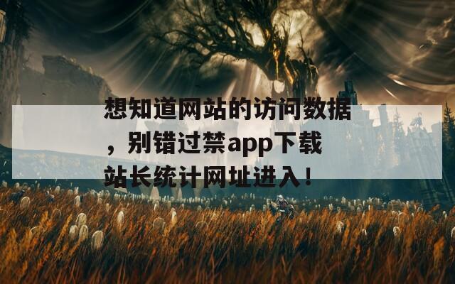 想知道网站的访问数据，别错过禁app下载站长统计网址进入！