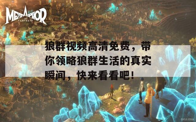 狼群视频高清免费，带你领略狼群生活的真实瞬间，快来看看吧！