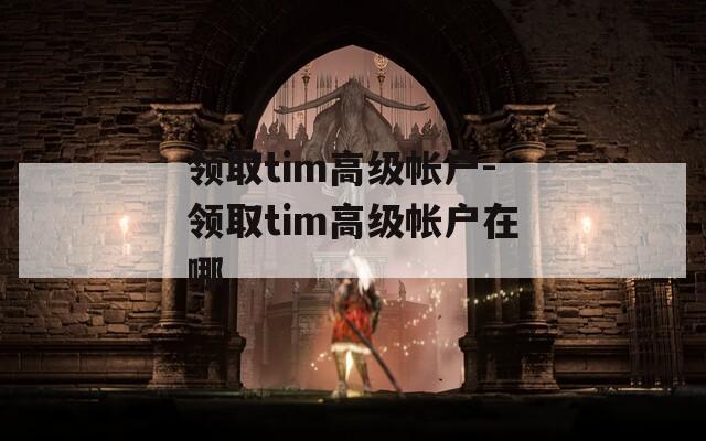 领取tim高级帐户-领取tim高级帐户在哪